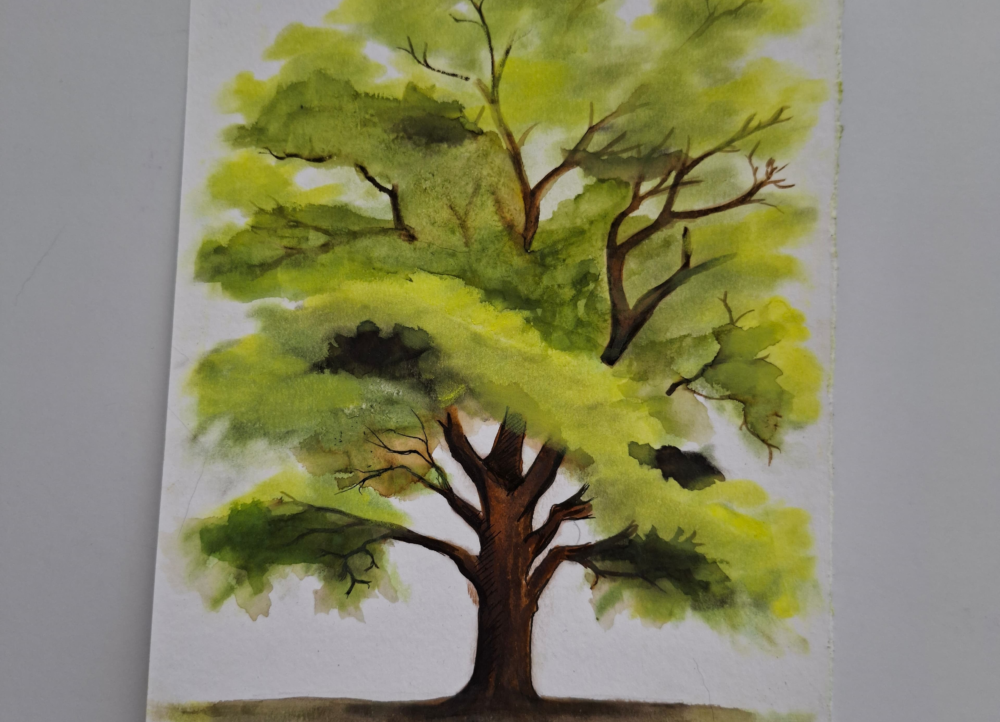 Noah Pan Pastel 1